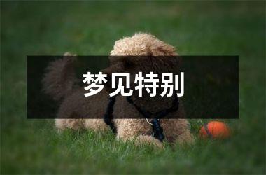 <h3>梦见特别