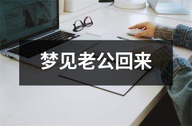 <h3>梦见老公回来