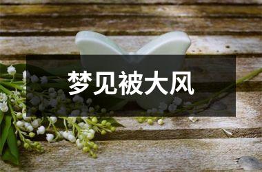<h3>梦见被大风