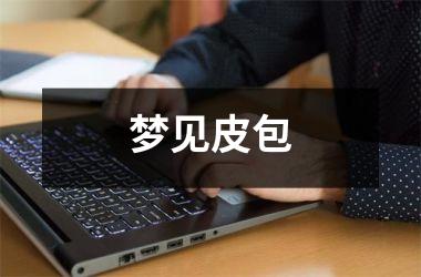 <h3>梦见皮包