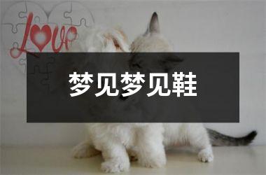 <h3>梦见梦见鞋