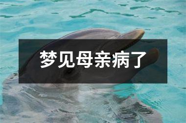 <h3>梦见母亲病了