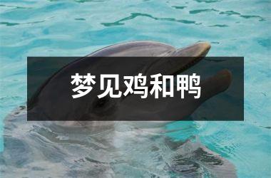 <h3>梦见鸡和鸭