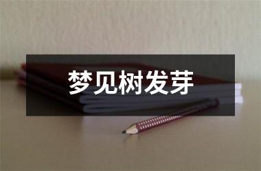 <h3>梦见树发芽