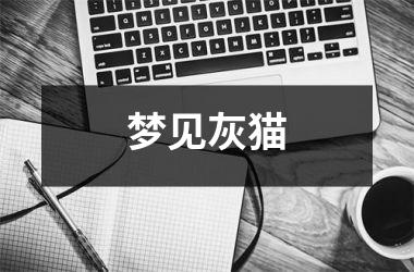 <h3>梦见灰猫