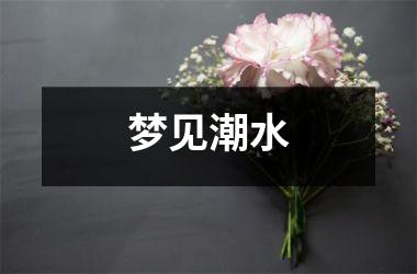 梦见潮水