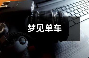 <h3>梦见单车