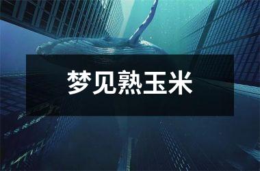 <h3>梦见熟玉米