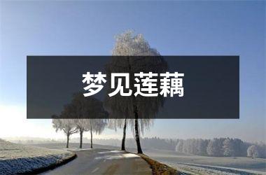 <h3>梦见莲藕