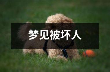 <h3>梦见被坏人