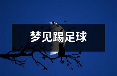 梦见踢足球