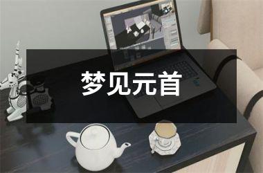<h3>梦见元首