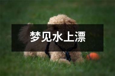 <h3>梦见水上漂