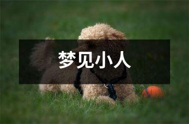<h3>梦见小人