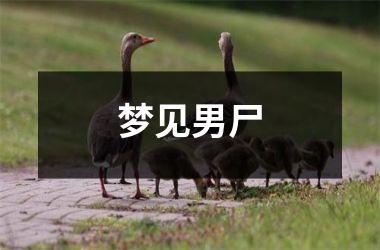 <h3>梦见男尸