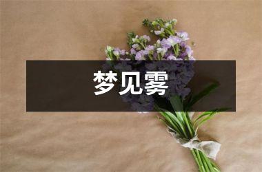 <h3>梦见雾