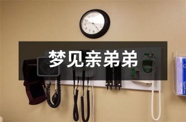 <h3>梦见亲弟弟