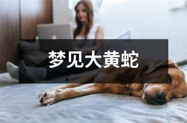 <h3>梦见大黄蛇
