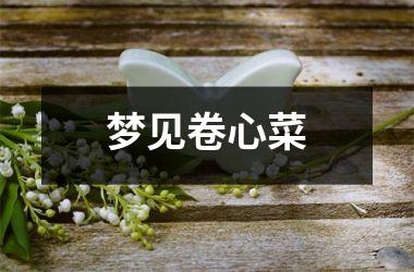 <h3>梦见卷心菜