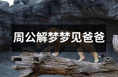 <h3>周公解梦梦见爸爸