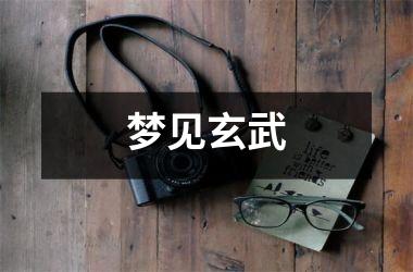 梦见玄武