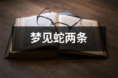 <h3>梦见蛇两条