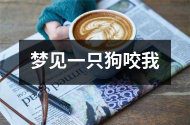 <h3>梦见一只狗咬我