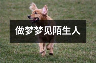 <h3>做梦梦见陌生人