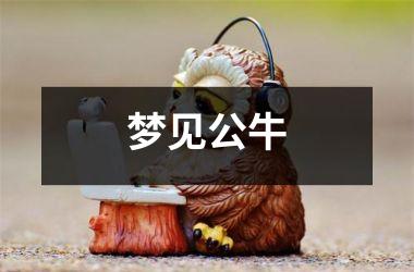 <h3>梦见公牛