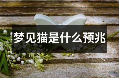 <h3>梦见猫是什么预兆