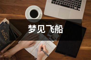 <h3>梦见飞船