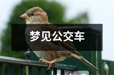 <h3>梦见公交车