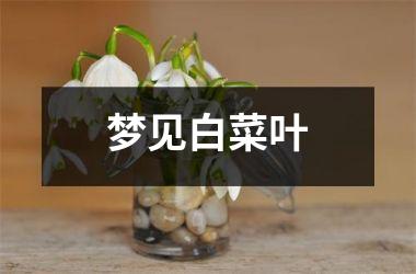 梦见白菜叶