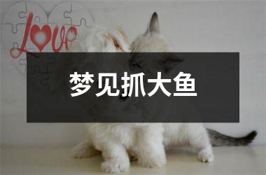 <h3>梦见抓大鱼