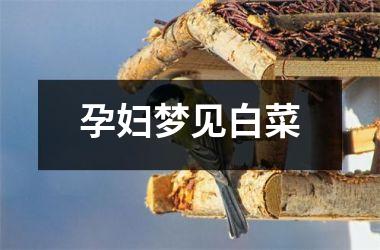 <h3>孕妇梦见白菜