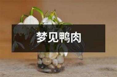 <h3>梦见鸭肉