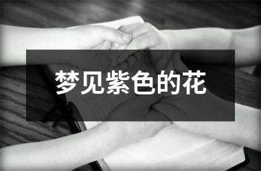 <h3>梦见紫色的花