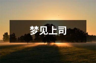 <h3>梦见上司