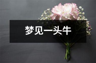 <h3>梦见一头牛