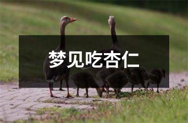<h3>梦见吃杏仁