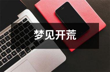 <h3>梦见开荒
