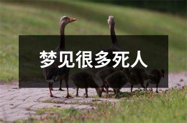 <h3>梦见很多死人