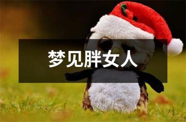 <h3>梦见胖女人