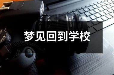 梦见回到学校