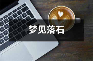 <h3>梦见落石