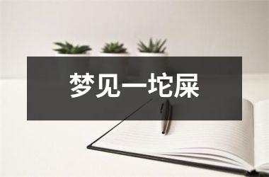 梦见一坨屎