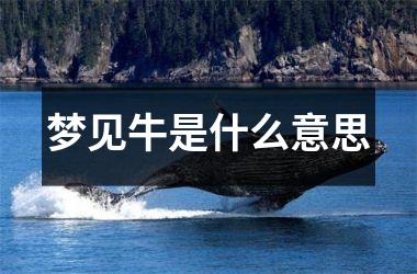<h3>梦见牛是什么意思