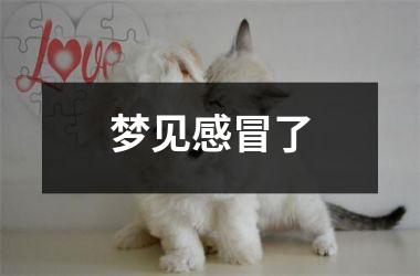 <h3>梦见感冒了