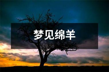 <h3>梦见绵羊
