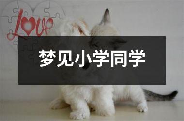 <h3>梦见小学同学